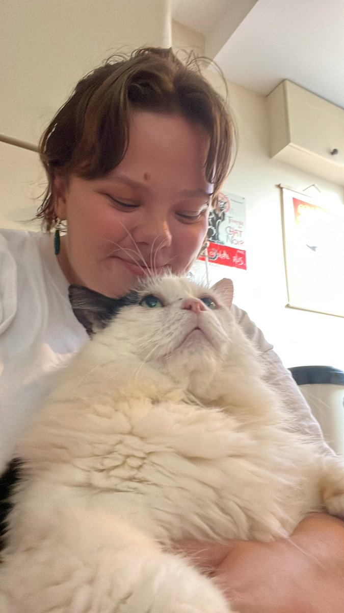 LovelyLarryCat's tweet photo. Hello furrends, it’s Larry’s uni human, Ella, here. Devastatingly, on Thursday evening, our wonderful big boy went over the rainbow bridge. 🌈 We are shocked &amp; heartbroken to lose our dearest friend, but so grateful that we were the family he chose to cherish him ❤️ #LarryFanClub https://t.co/4lKiLdvseR
