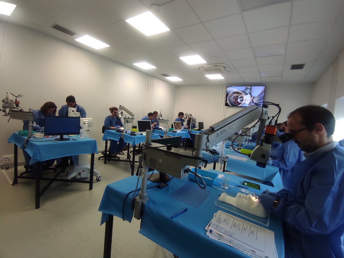 CURSO DE MANEJO DEL QUERATOCONO.  ACTUALIZACIÓN EN ANILLOS INTRAESTROMALES Y CROSSLINKING AJL.
Colabora Ferrara y Angelini.
Gracias a un panel extraordinariao de docentes que han dirigido y coordinado este proyecto.  <a href="/MicrocirugiaUFV/">Centro Simulación Quirúrgica y Microcirugía  UFV</a>, <a href="/PostgradoMedUFV/">Postgrado Medicina UFV</a>, <a href="/OHgugm/">Oftalmología HGU Gregorio Marañón</a>, <a href="/newsmedicinaufv/">Facultad de Medicina UFV</a>