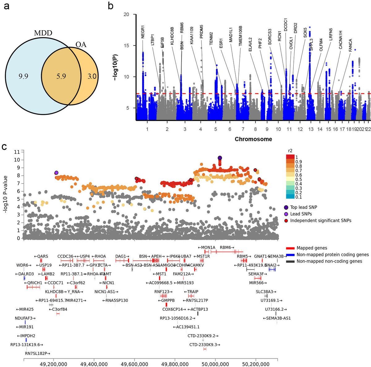 Bone & Joint Research tweet media