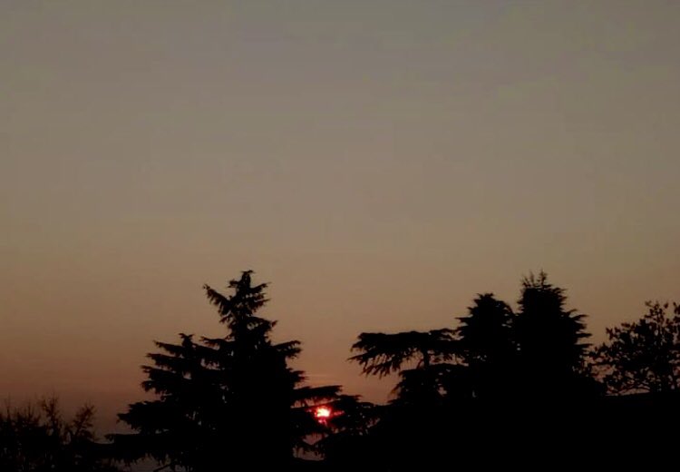 お疲れ様でした