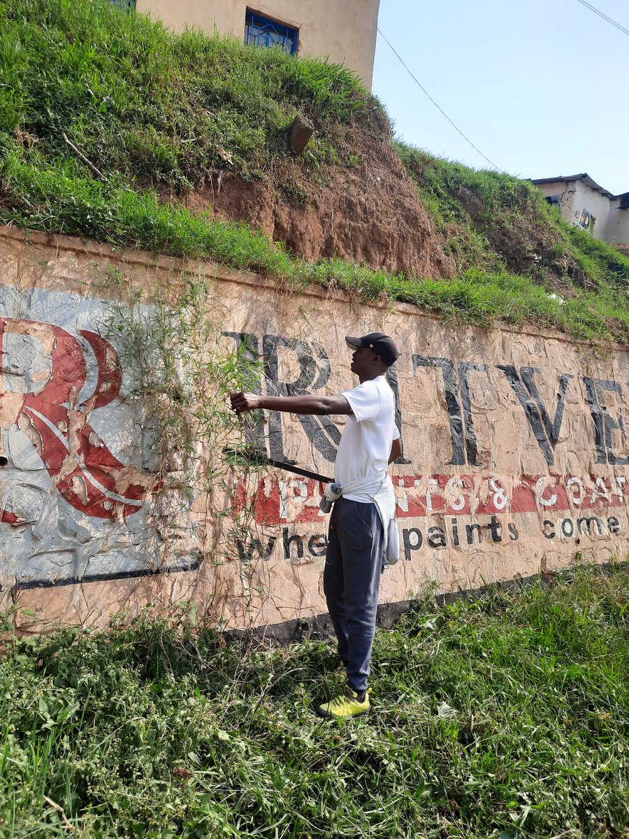 Birikuba <a href="/YouthKacyiru/">Kacyiru Youth Volunteers</a> ifatanyije n'inzego z'ibanze twabyukiye mugikorwa cy'umuganda wo gukupakupa no gusukura inkengero zumuhanda,kubufatanye n'abaturage <a href="/Kacyirusector/">Kacyiru Sector</a> <a href="/kamutwacell/">AKAGARI KA KAMUTWA</a> @urugerovillage.<a href="/RwandaYouthVol1/">Rwanda Youth Volunteers</a> <a href="/KubanaRichard/">Kubana Richard</a> <a href="/Gasabo_District/">Gasabo District</a> <a href="/1Urujeni/">Urujeni Gertrude 1</a> <a href="/JCMusabyimana/">J Claude Musabyimana</a>