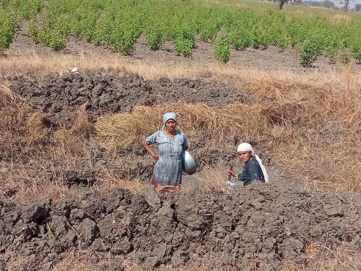 Mg nrega work