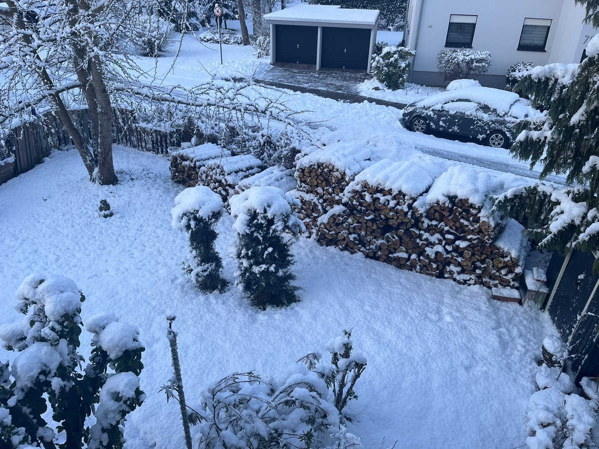 RobertReiz's tweet image. Everything covered in snow at Altrip. I love it ❄️🤗 #snow #Altrip