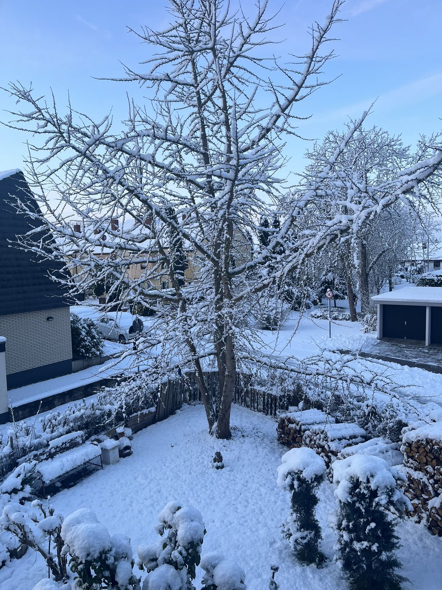 RobertReiz's tweet image. Everything covered in snow at Altrip. I love it ❄️🤗 #snow #Altrip