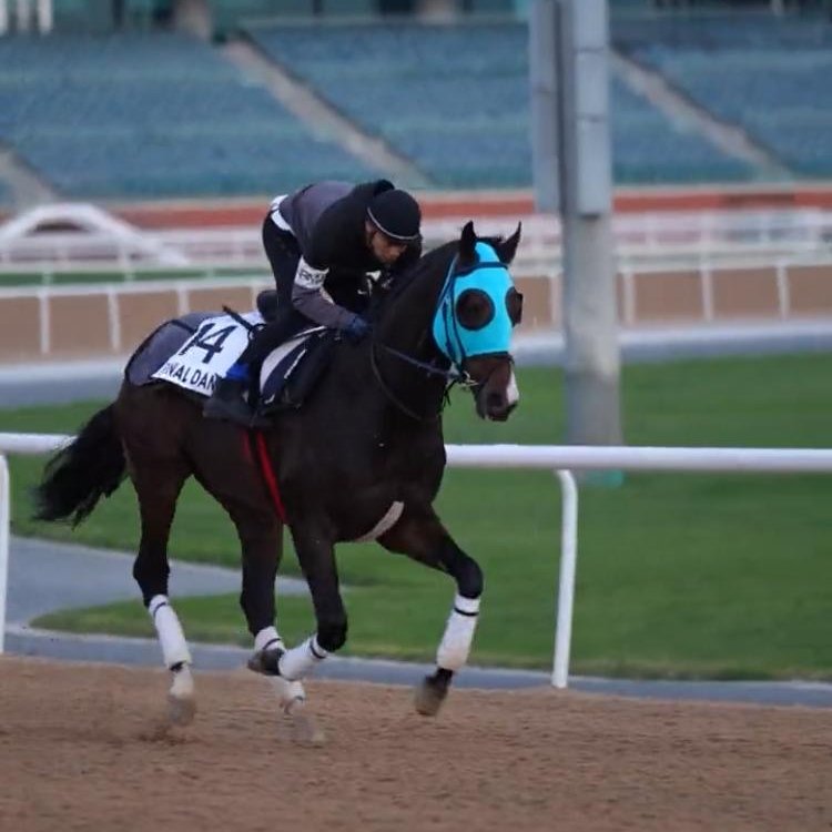 Multiple Turkish G1 winner FINAL DANCE 🇹🇷 and <a href="/gokcoskn/">Gökhan Coşkun</a> on the main track this week.

#DWCCarnival