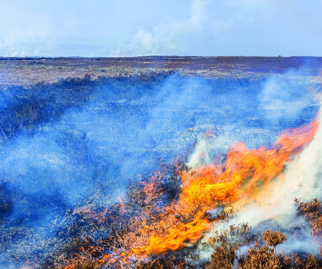 LantraScotland's tweet photo. A new course, accredited by @LantraUK should help land managers carry out muirburn to high standard. Muirburn is controlled burning of vegetation for new growth, often for grouse shooting, deer management or sheep farming. https://t.co/XiLqICUTUC #GreenCareers https://t.co/M3eIDKvnt1