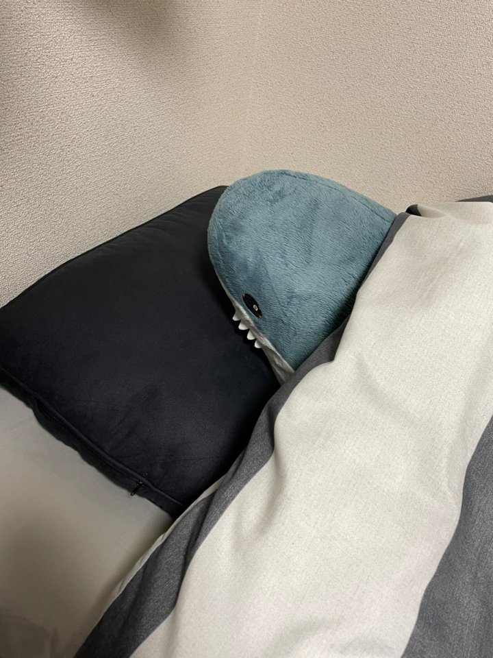 「これはよく寝れそう潰れて煎餅みたいになってる前任の枕くんは洗った後来客用になって」|あほげモグモグのイラスト
