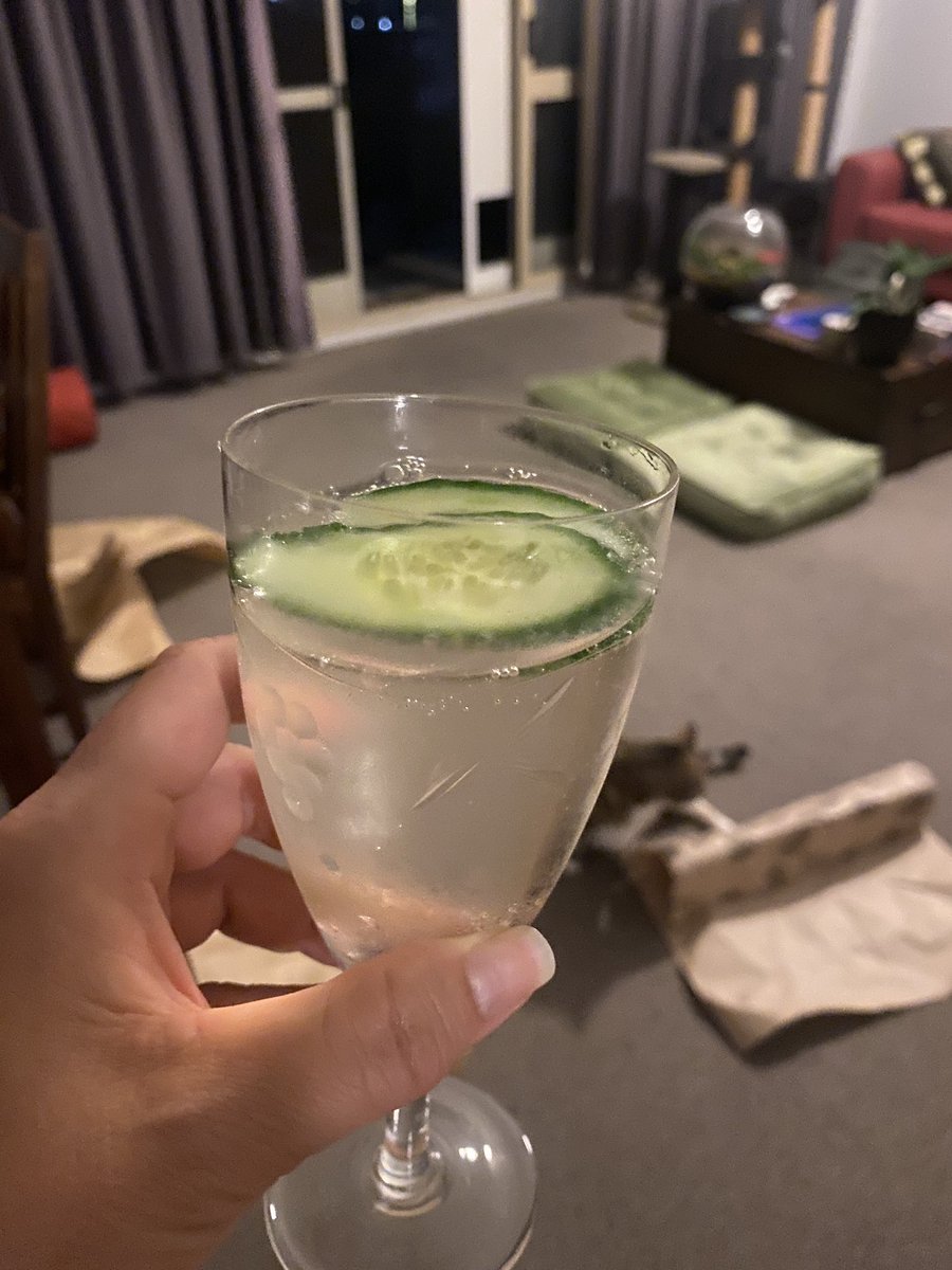 Tonight’s ‘hit the spot’ zero alcohol cocktail is soda water, home-made tonic, and fresh sliced cucumber. 
So good!!
The Cat and I having play time in crinkly paper (also the best fun).