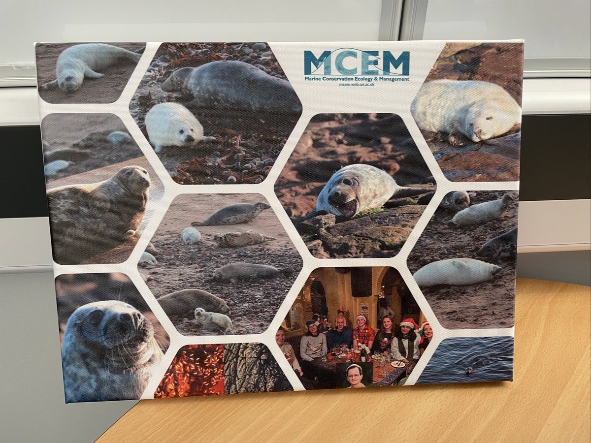 Katrina Davis (@katrinajdavis) on Twitter photo I have the most amazing group - best Christmas present ever. Thanks team #MCEM <a href="/Eco_Stone1/">Thomas Stone</a> <a href="/MayuriChopra1/">Mayuri Chopra</a> <a href="/C_E_Tanner/">Claire E. Tanner</a> Jonathan Rutter and Léa Beaupere <a href="/OxfordBiology/">Oxford Biology</a> I have the most amazing group - best Christmas present ever. Thanks team #MCEM <a href="/Eco_Stone1/">Thomas Stone</a> <a href="/MayuriChopra1/">Mayuri Chopra</a> <a href="/C_E_Tanner/">Claire E. Tanner</a> Jonathan Rutter and Léa Beaupere <a href="/OxfordBiology/">Oxford Biology</a>