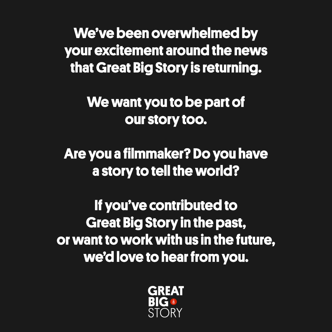 Great Big Story tweet media