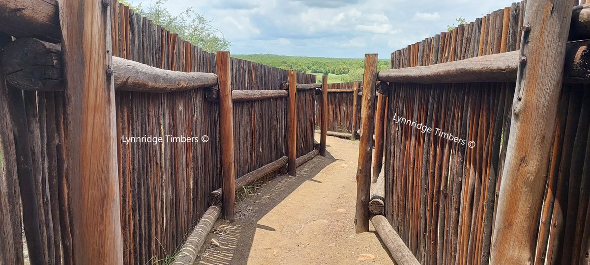 LynnridgeT's tweet image. Thatching Laths have many different uses, such as Wooden Fences, Cladding of buildings and Ceilings among many other uses. Prices and further details are available on our website lynnridgetimbers.co.za/wooden-product… #woodcladding #timbercladding #timber #lumber #woodwork #wood #woodworking