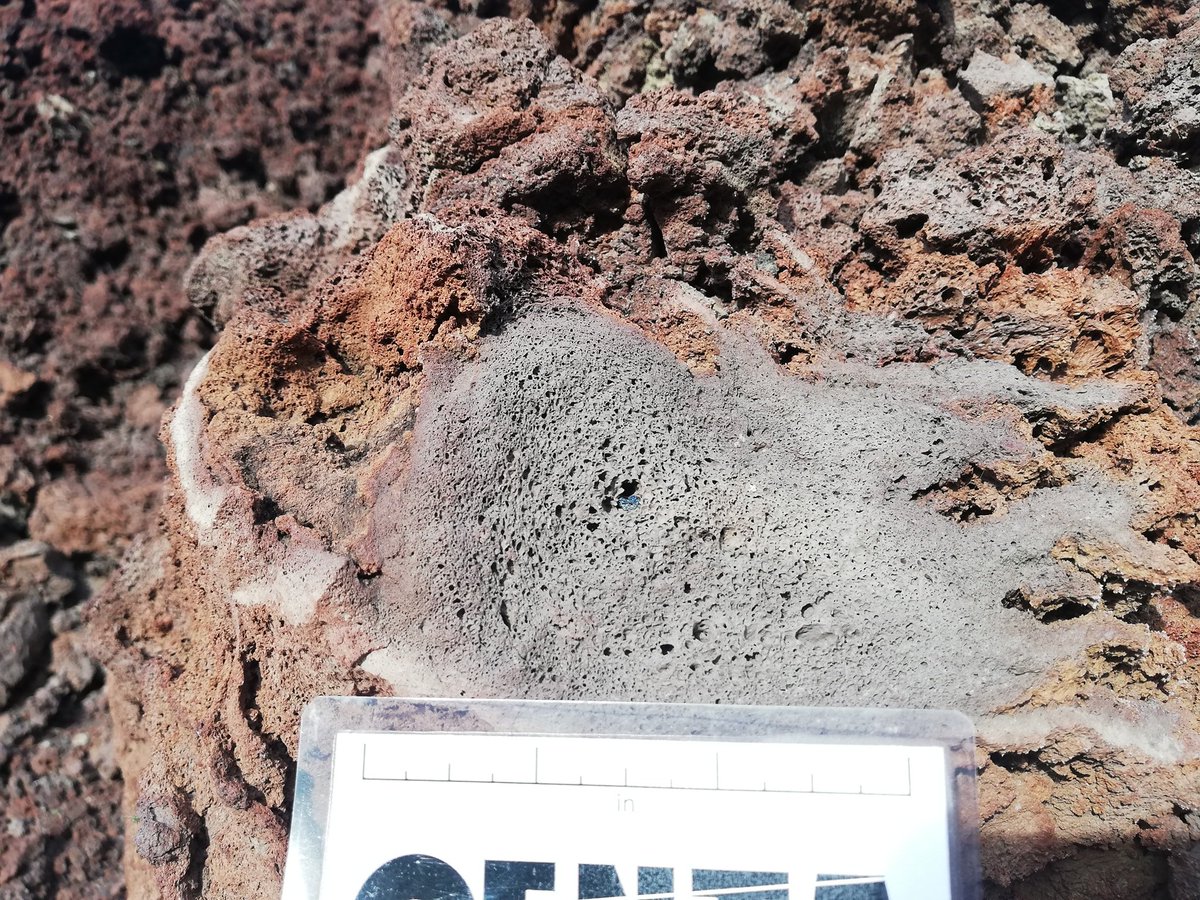 Geology_Tim's tweet photo. Some lovely volcanics from Tenerife #Geology #extrusive #volcanic https://t.co/NhFfxJrpcL