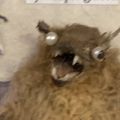 deepdetail's tweet photo. felt cute, might delete it later #NewProfilePic https://t.co/lElUwGjf6b