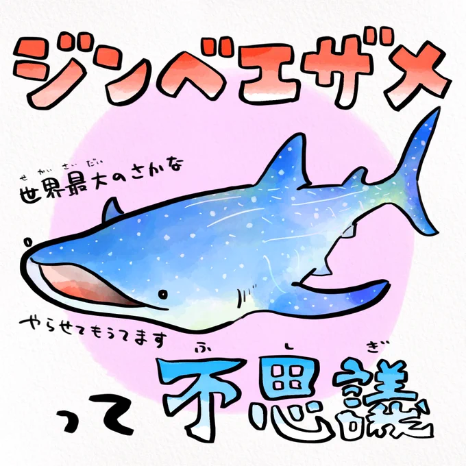 大型海洋生物といえばジンベエザメ派 