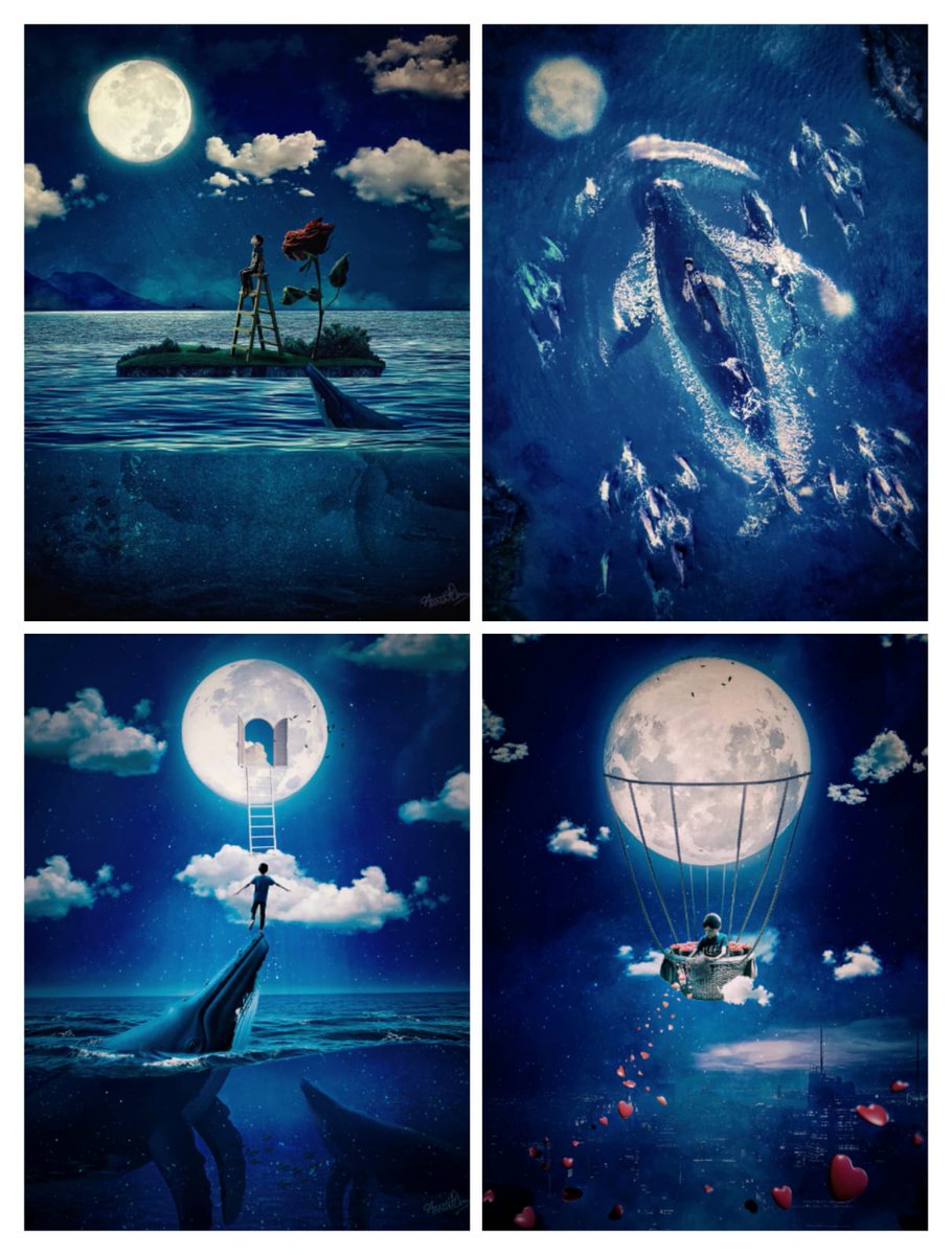 The Boy Series 2 collection is about 
Hope, Courage, Kindness and Love 
🌖🪜🐋🌹👦
Hope Floats - 0.2 Ξ
Courage Rides - 0.2 Ξ
Kindness Uplifts - 0.2 Ξ
Love Spreads - 0.2 Ξ

Minted on Manifold, available on FND