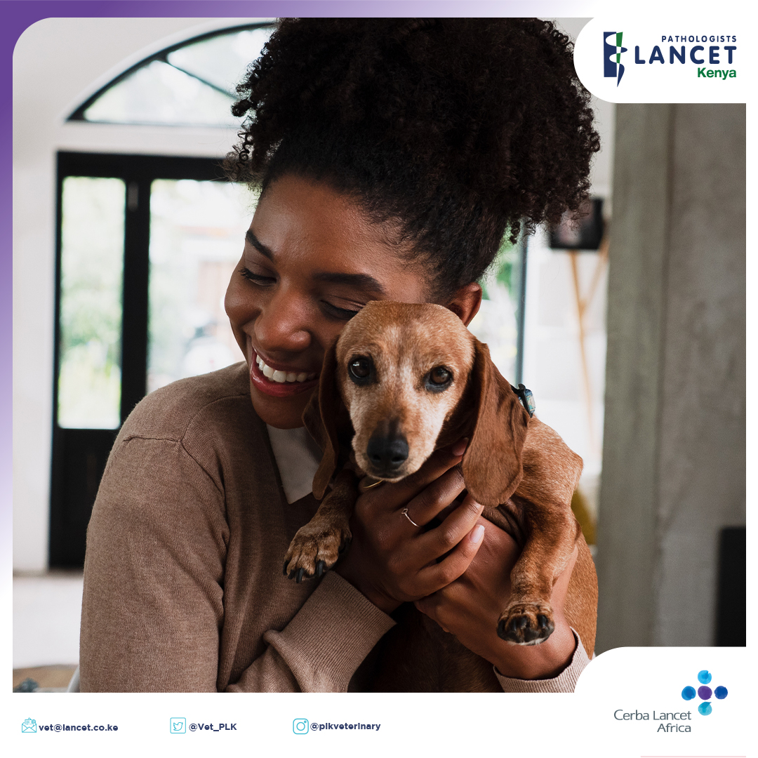 National Hugging Day in the USA is coming. Did you know that many dogs and cats do not like being hugged as the action of hugging is considered a threat by them?

instagram.com/p/Cnl41kqL6wz

Contact us today on:
vet@lancet.co.ke