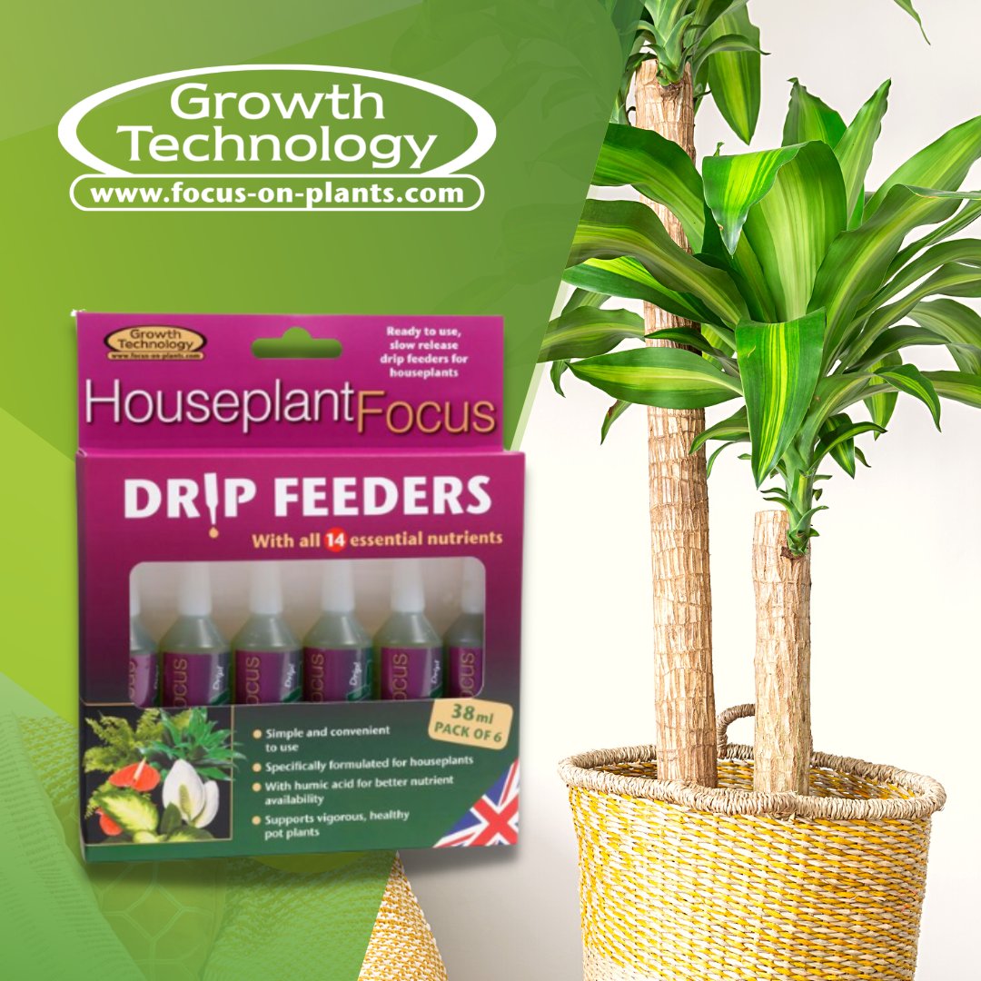 Focus On Plants tweet media