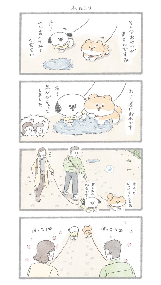 いとしい足跡
#こんにちはいぬです 