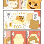 飼い主の物は･･･!可愛くてほっこりしちゃう「猫漫画」が話題に!