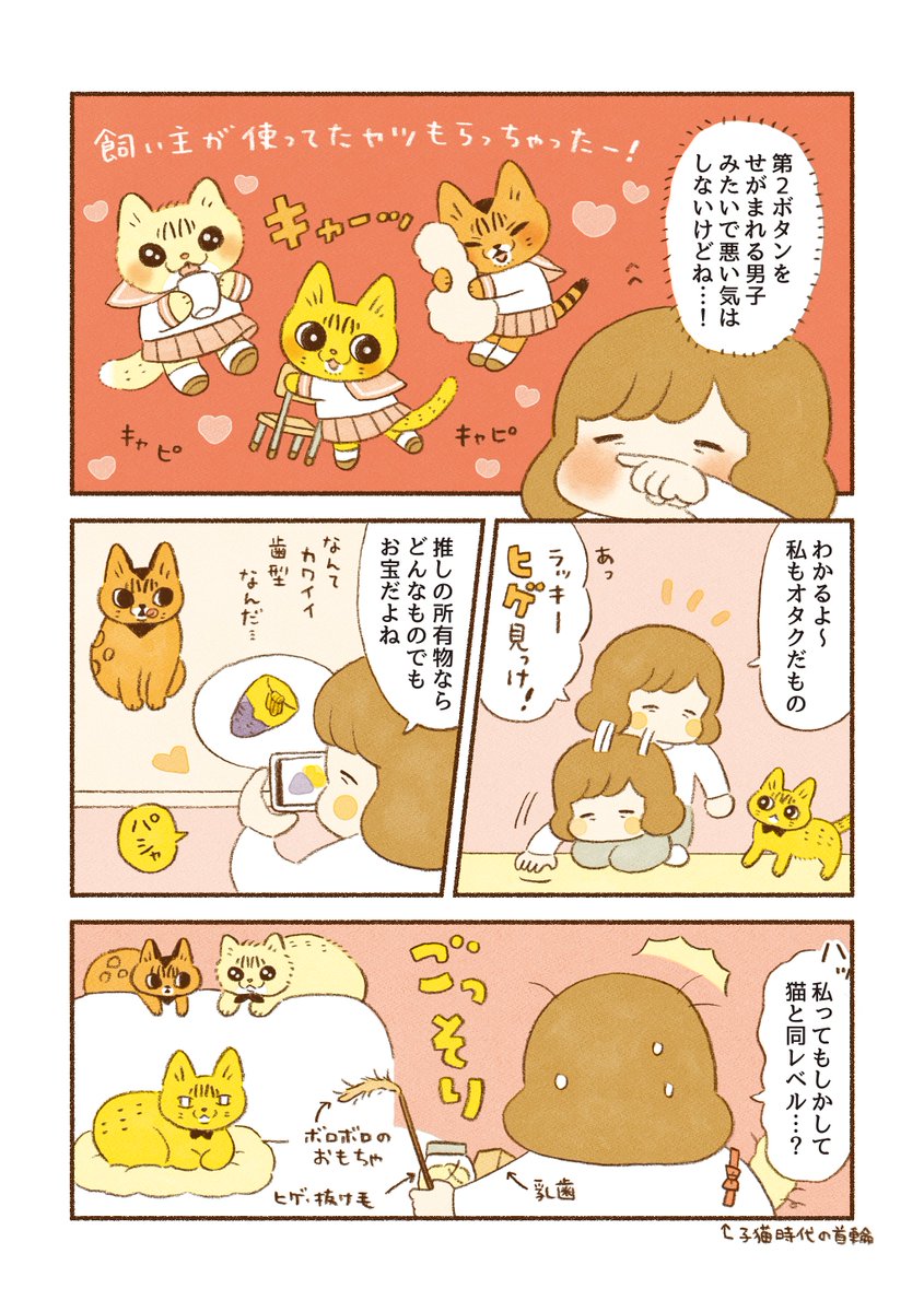 猫マンガ
「飼い主のものは猫のもの」 