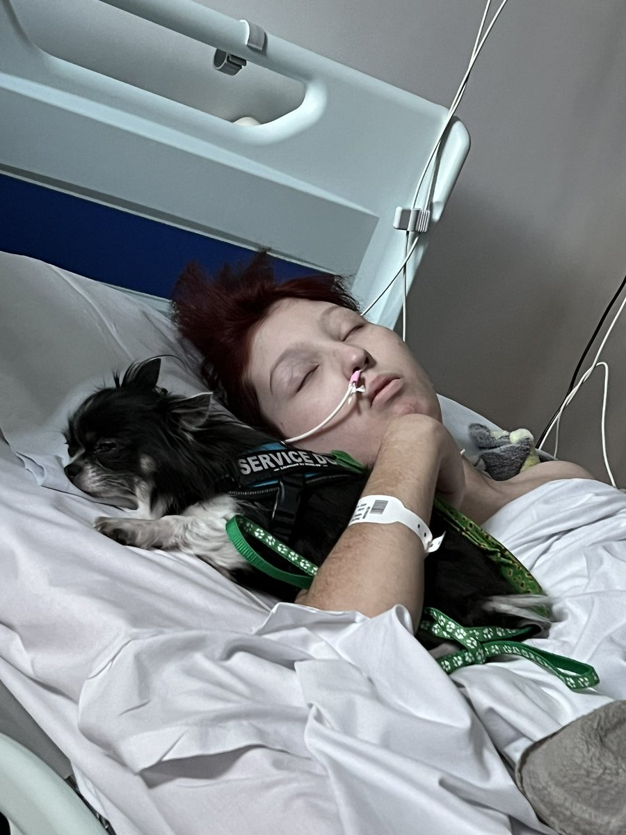 hearts_matteruk's tweet photo. The double act are back together #RyooAndLoki
Ryoo is the happiest when Loki visits her in hospital 🏥 xxx #ComplexMedicalNeeds #PalliativeCare @guidedogs @LokiOfficial Thank you @NewcastleHosps for taking care of her❤️@NHSOrganDonor @GabyRoslin @LesDennis @5SOS @TheVampsband https://t.co/odPd5TH5JG