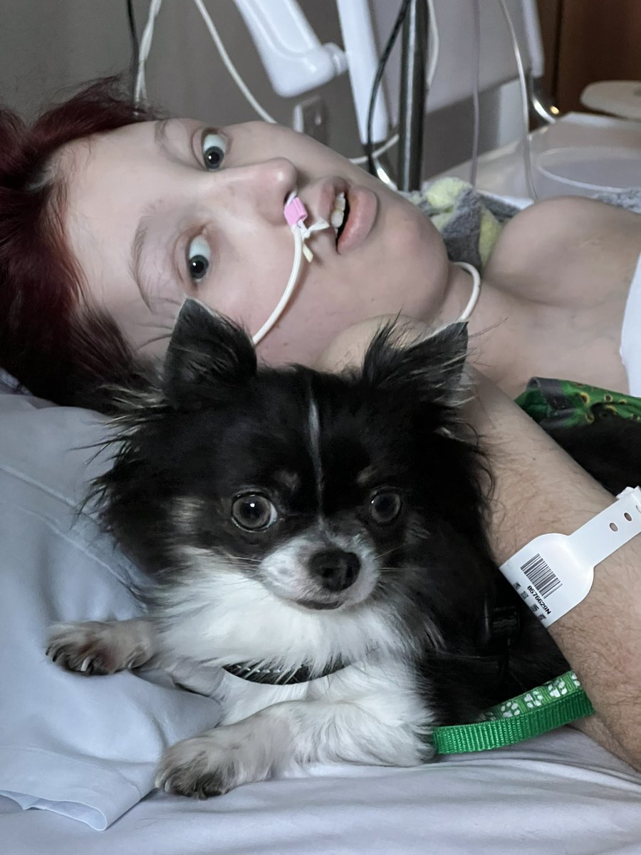 hearts_matteruk's tweet photo. The double act are back together #RyooAndLoki
Ryoo is the happiest when Loki visits her in hospital 🏥 xxx #ComplexMedicalNeeds #PalliativeCare @guidedogs @LokiOfficial Thank you @NewcastleHosps for taking care of her❤️@NHSOrganDonor @GabyRoslin @LesDennis @5SOS @TheVampsband https://t.co/odPd5TH5JG