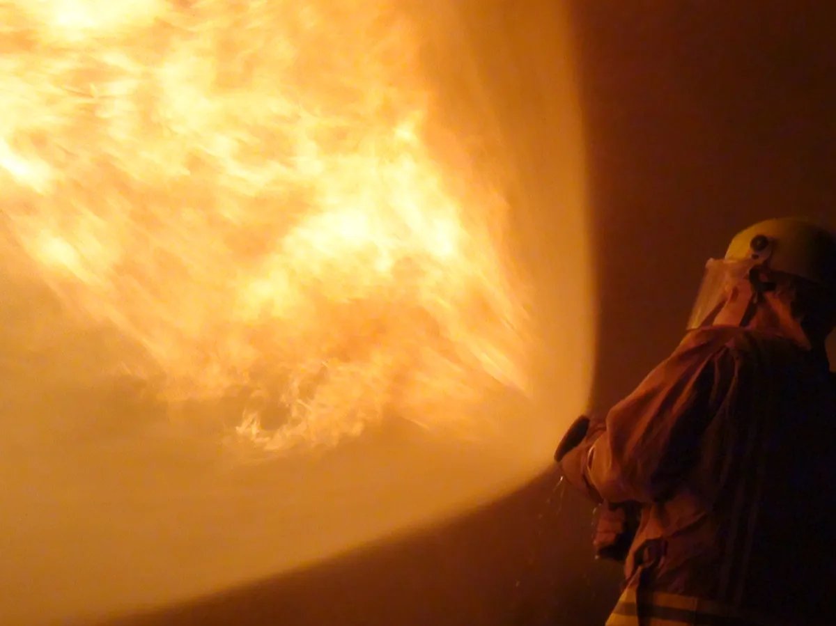 TheFireFClub's tweet photo. No roadmap, no grand plans, just spectacular fire fighting images!

Check them out at https://t.co/Qn5UzSBxuV

#CNFT #CNFTCommunity #firefighters https://t.co/NVcGU115qq