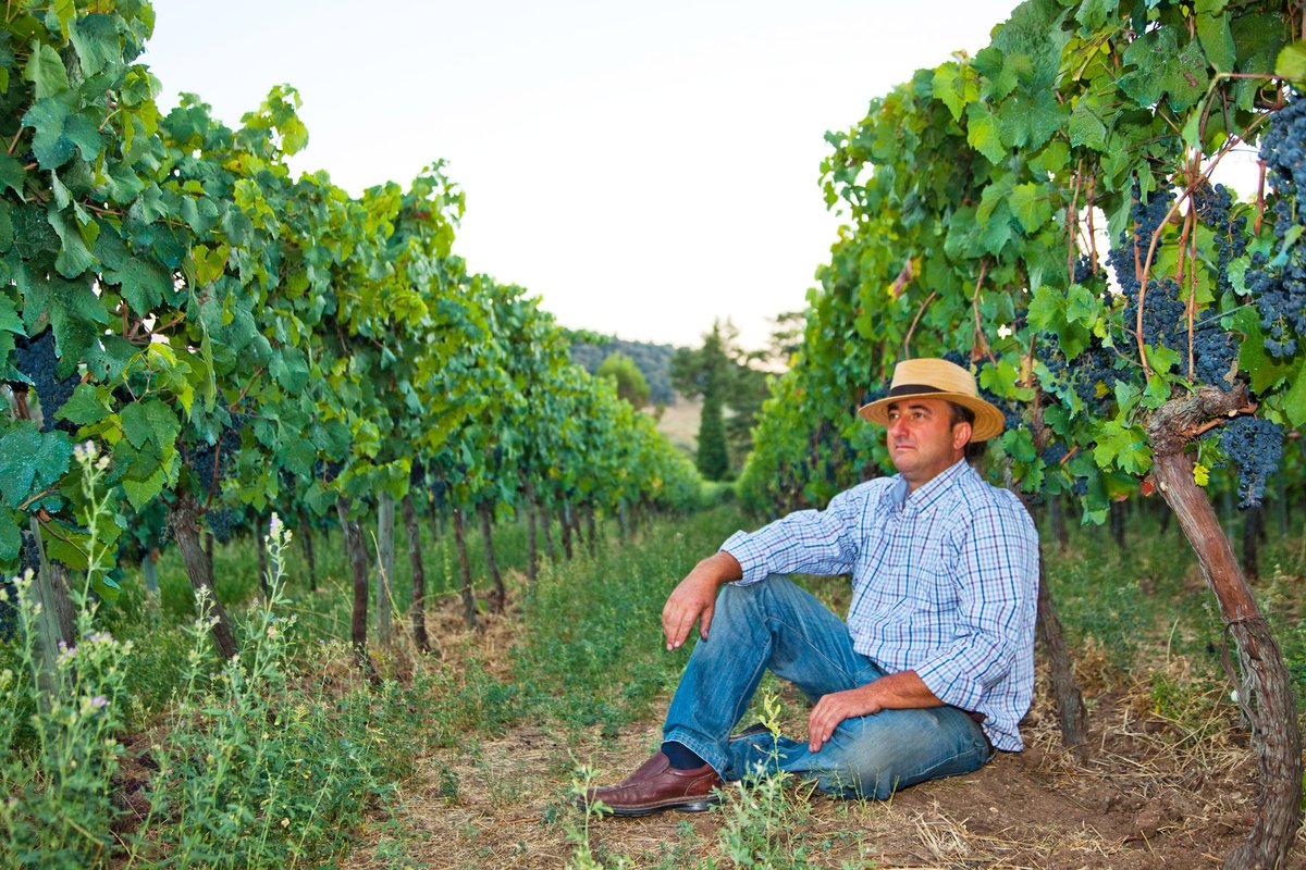 Vinos Naturales tweet media