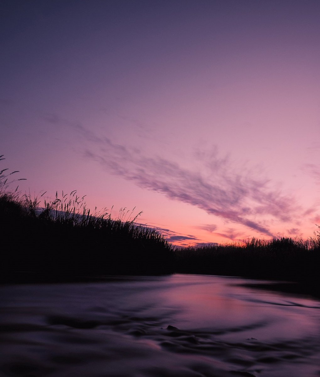 skkweller's tweet photo. Deep tranquility... 💜 💫 https://t.co/Xo8avtl5x2