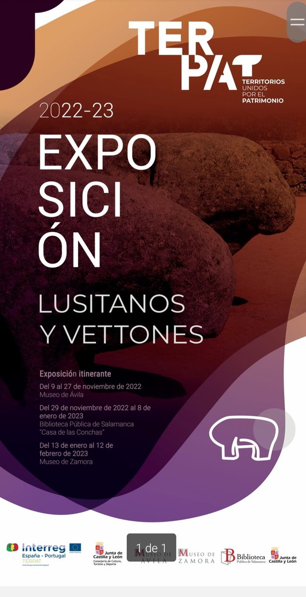 patrimoniojcyl's tweet photo. Puedes visitar en el Museo de #Zamora la exposición itinerante 'Lusitanos y Vettones'. Estará hasta el 12 de febrero. Anota la fecha y no te la pierdas.
@museoscastyleon #Terpat https://t.co/beoQBERYZL
