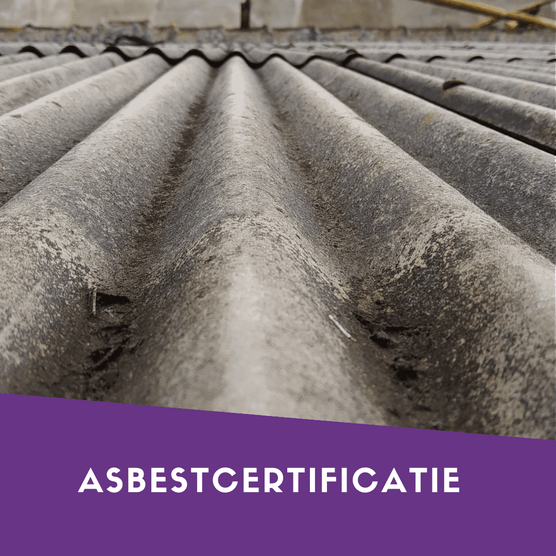 Xenadvies's tweet photo. Werd jouw woning voor 2001 gebouwd? Dan is het vanaf nu verplicht om een asbestattest op te laten maken bij verkoop of schenking van jouw woning. Vraag nu volledig vrijblijvend een offerte aan bij Xenadvies 👈 👈 

https://t.co/6lviXmfmEH https://t.co/snHq3p05Uy