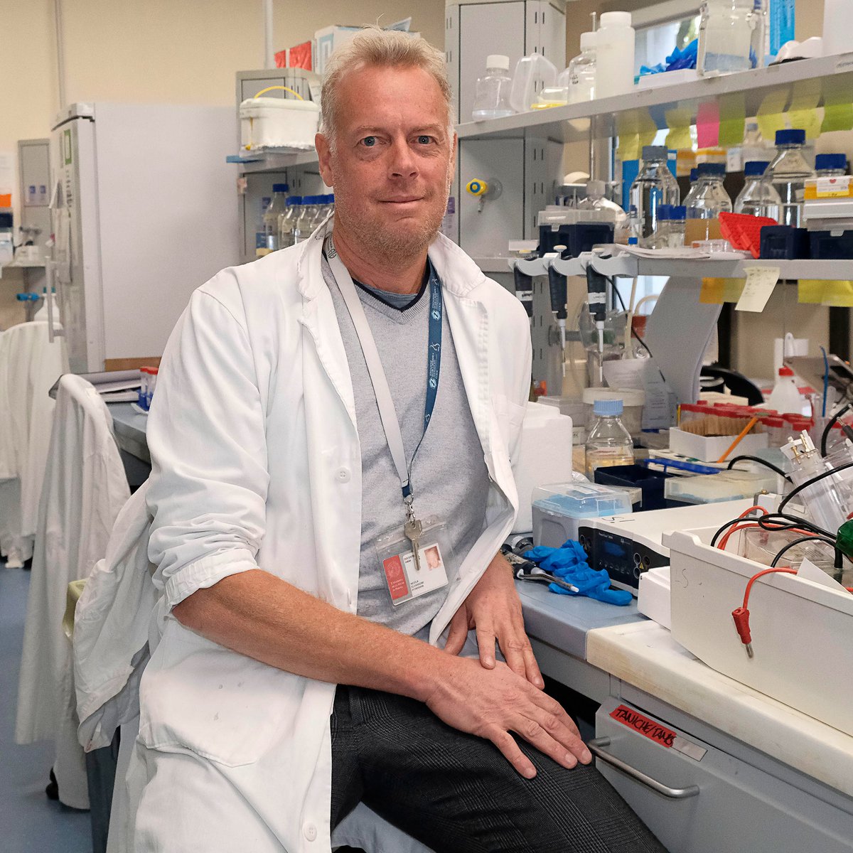 Nicola Elvassore è stato nominato nuovo Direttore Scientifico del #VIMM. Professore Ordinario di Ingegneria Chimica presso il Dipartimento di Ingegneria Industriale dell’Università di Padova e PI del #VIMM, Nicola Elvassore, succederà a Gianpietro Semenzato.