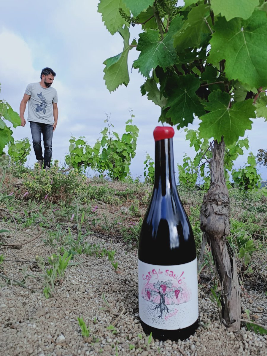 Vinos Naturales tweet media