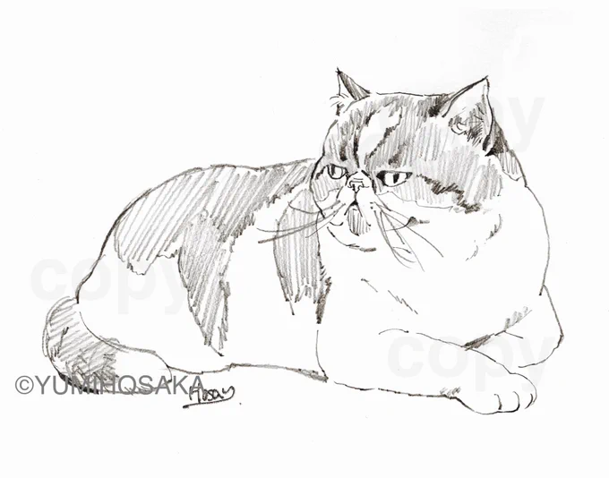 線画の変遷。

猫かわいい。 
