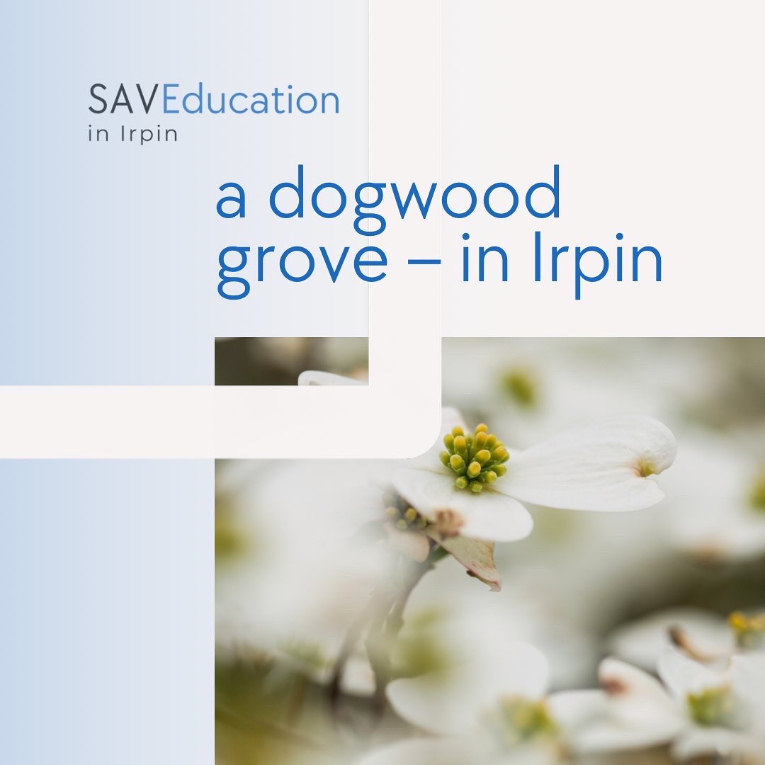 IrpinIn's tweet photo. Interesting facts about Irpin that you may not know
Small gardens were planted on the territory of the Irpin community
For the community, it is a monument of new life, recovery, and prosperity of our country
We believe that Victory awaits us very soon, and our cities will blossom https://t.co/oi66N6BOB1