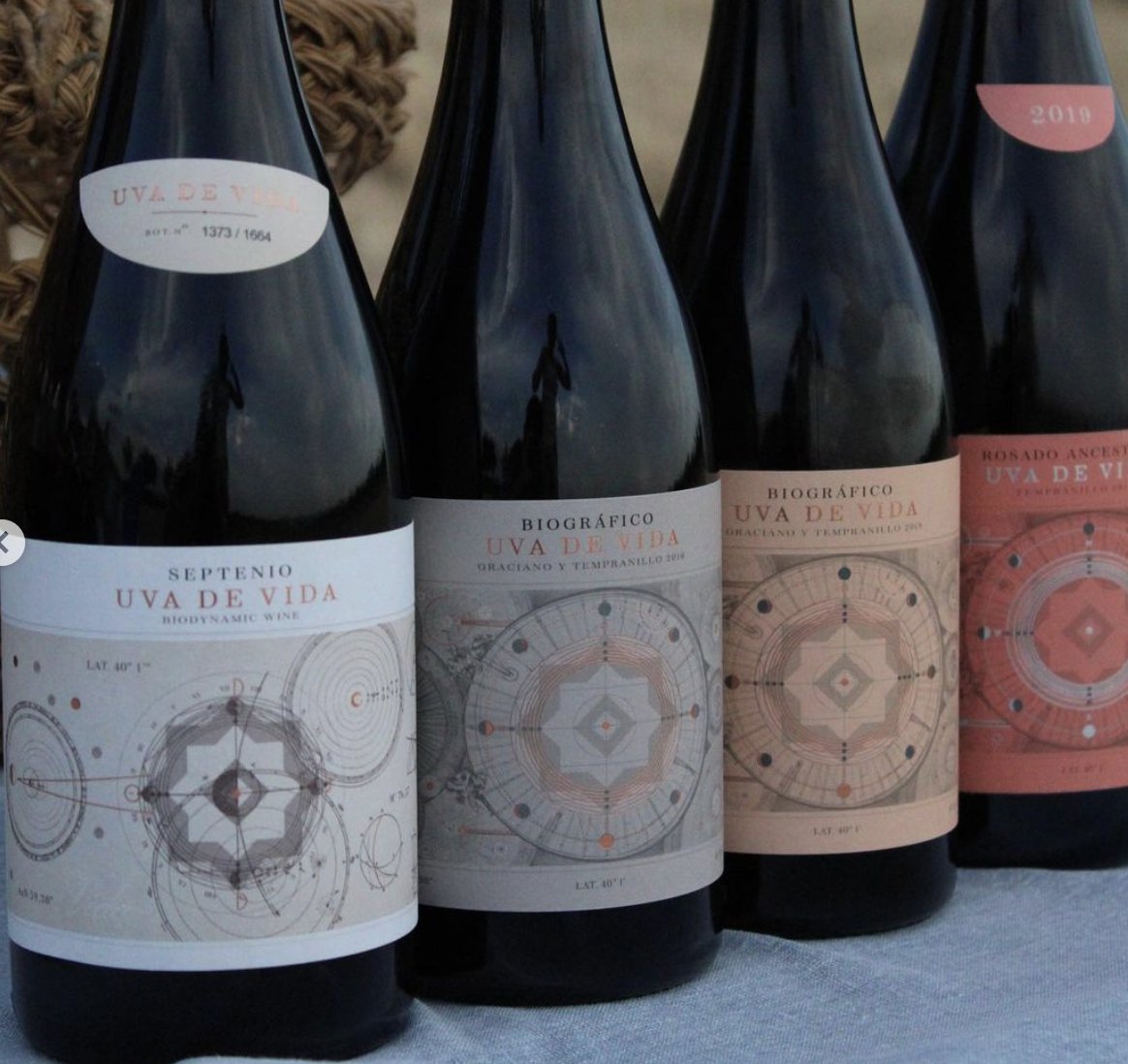 Vinos Naturales tweet media