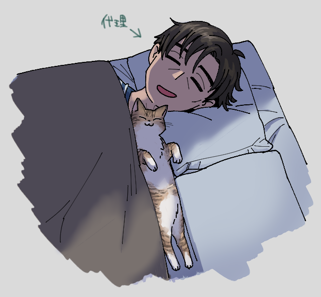 昨日の子猫こんな感じで可愛かった 