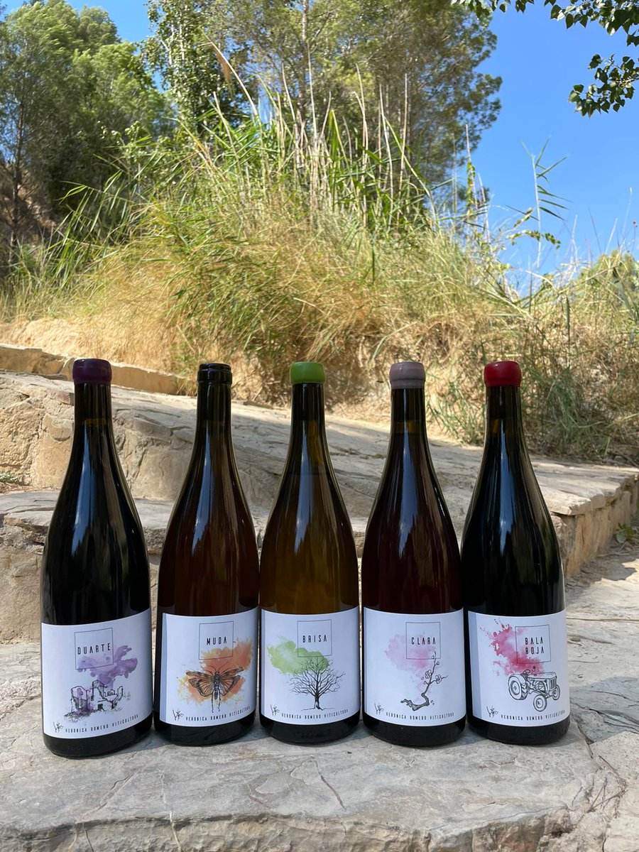 Vinos Naturales tweet media