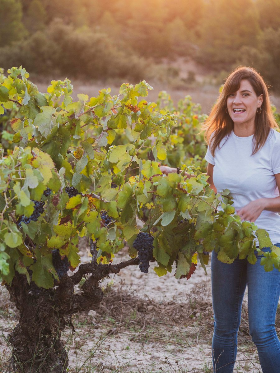 Vinos Naturales tweet media