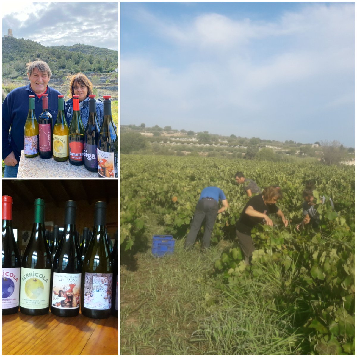 Vinos Naturales tweet media