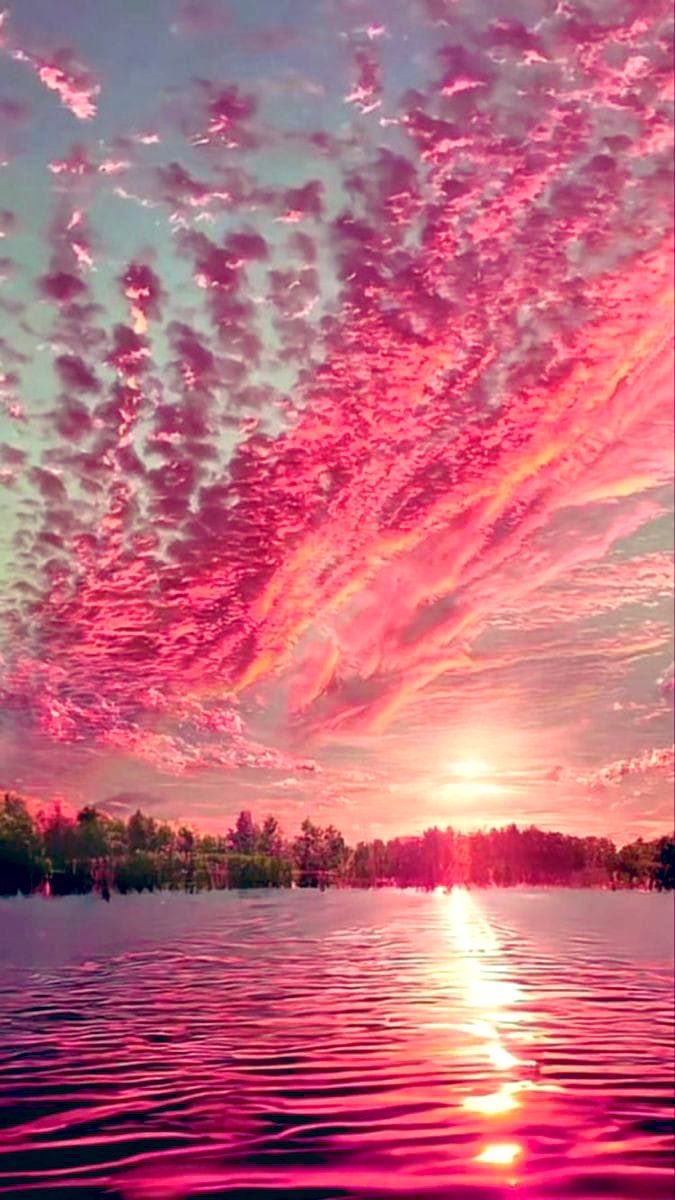 Sophia Brite (@sophiabrite) on Twitter photo 