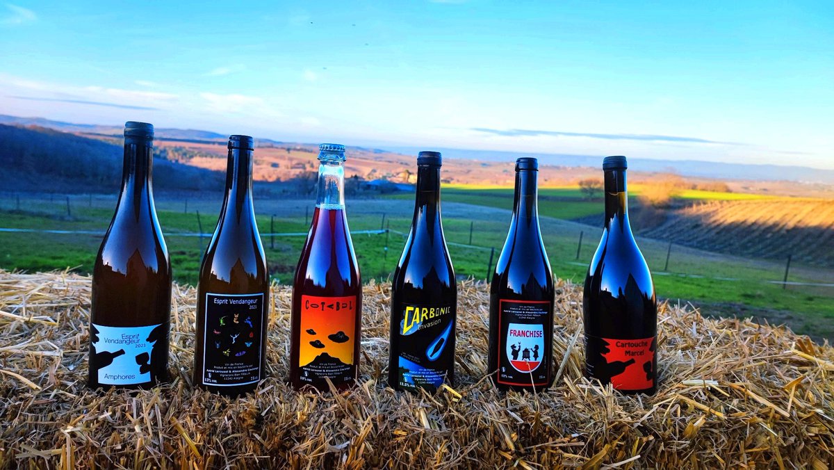 Vinos Naturales tweet media