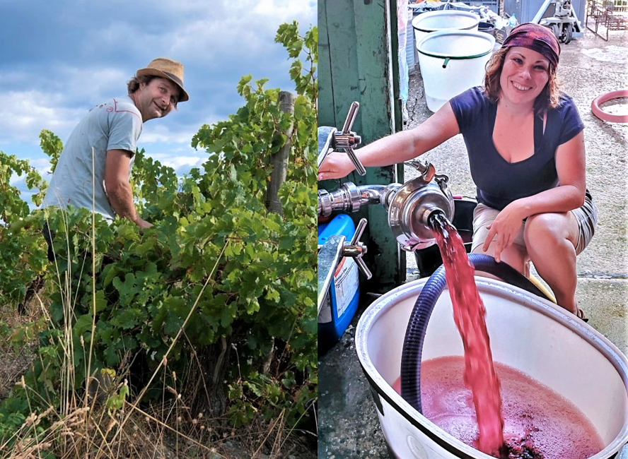 Vinos Naturales tweet media