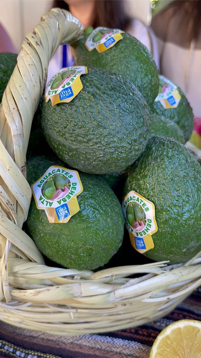 emejotaMLG's tweet photo. Vendo "Aguacates Hass 100% malagueños " en #wallapop https://t.co/iyYFGQcNHN https://t.co/UaCqQnTn2M
