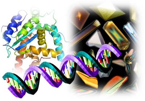crystallographers.hr tweet media