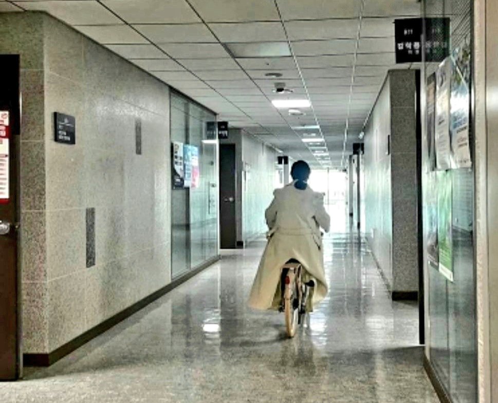 domach1972's tweet image. 이런 얼빠진것들이 國家권력의 中心에 있다는게 말이되나,남편이 大統領이지 여편네가 대통령인가,民間人이고 단지 令夫人이란 칭호를 받는게 전부아닌가,그런데 전용기타고 外國을 들락거리니,유某라는 한푼수는 의원會館 9F복도를 자전거타고 돌아다니니,이게 國會議員이라고 깜이 안되는 잡것들이다