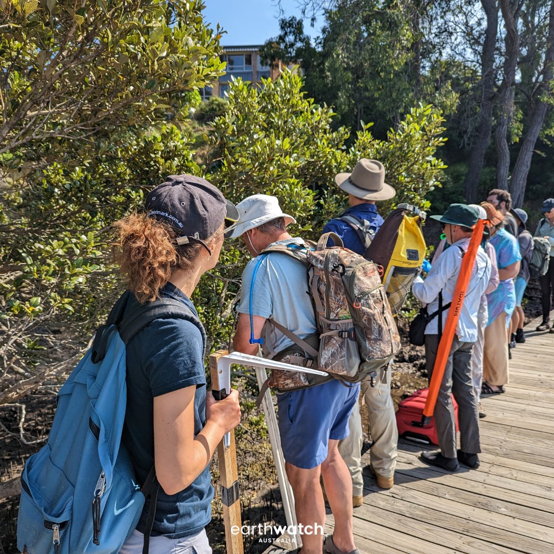 Earthwatch Australia tweet media