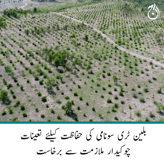 Aaj_Urdu's tweet photo. بلین ٹری سونامی کی حفاظت کیلئے تعینات چوکیدار ملازمت سے برخاست
نوکری سے نکالے جانیوالے چوکیداروں کی 14 ماہ کی تنخواہیں بھی بقایا ہیں
🔗https://t.co/vkHGUMcV0F
#Swat #BillionTree #AajNews https://t.co/SAKrW1S7zs