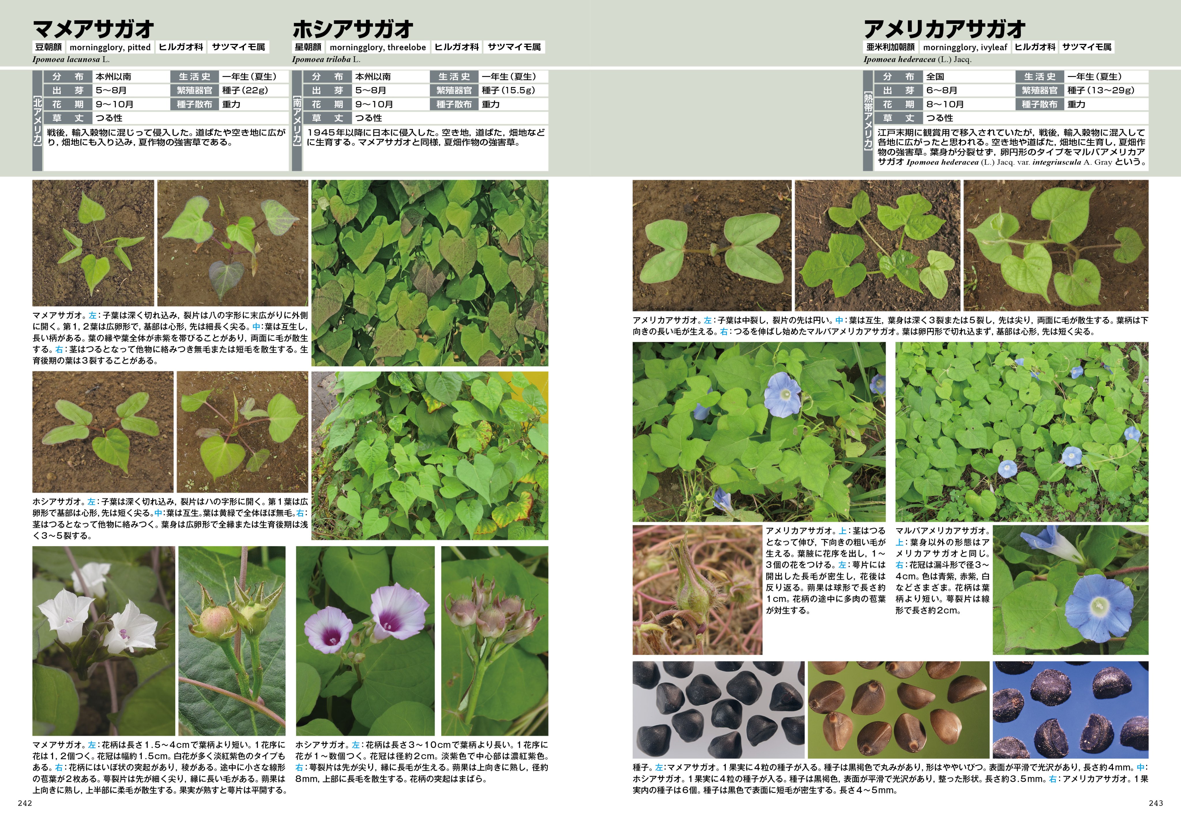 植調 雑草大鑑 - ノースブックセンター