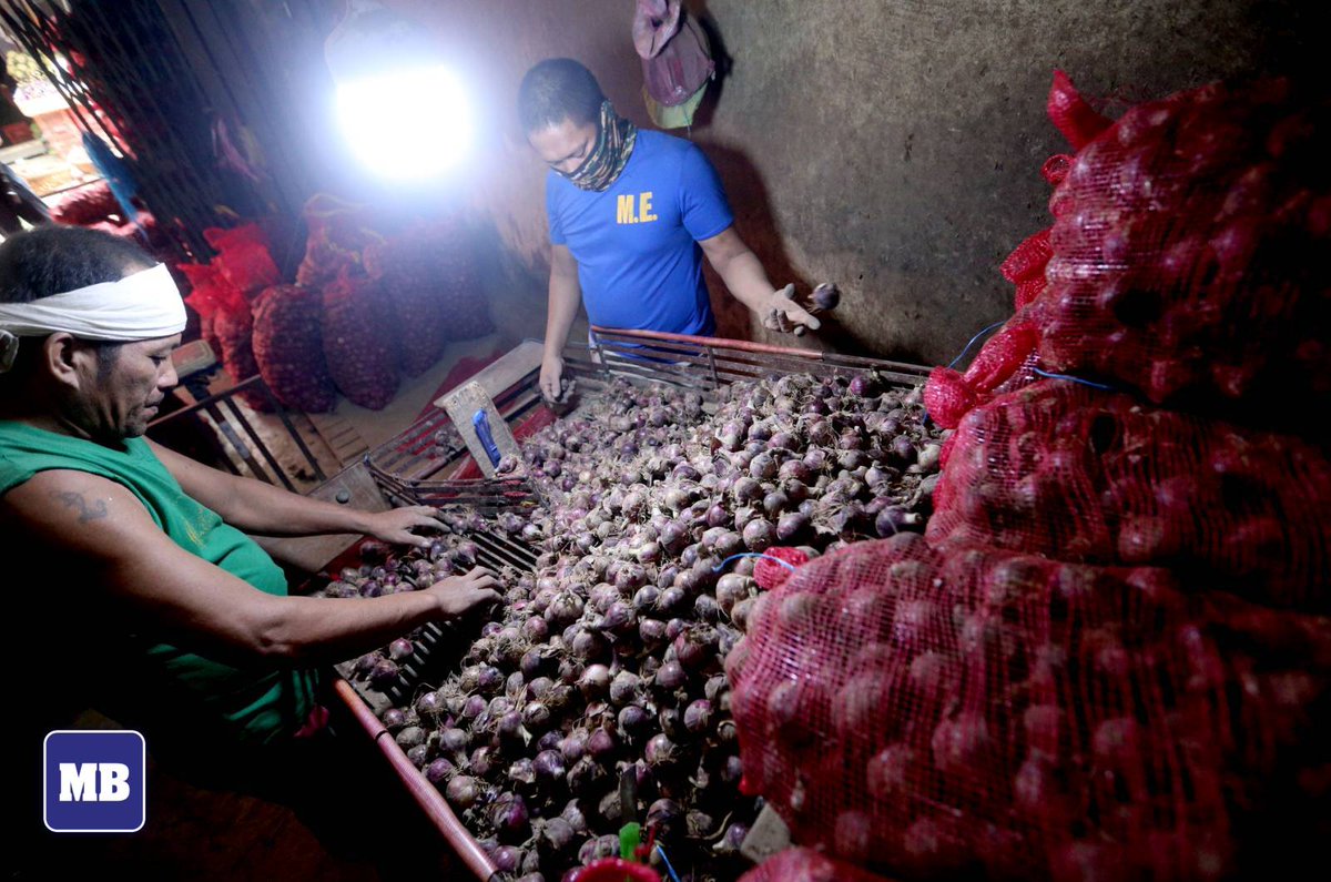 Manila Bulletin News on Twitter "LOOK On Jan. 19, 2023, vendors sell onions at Divisoria in
